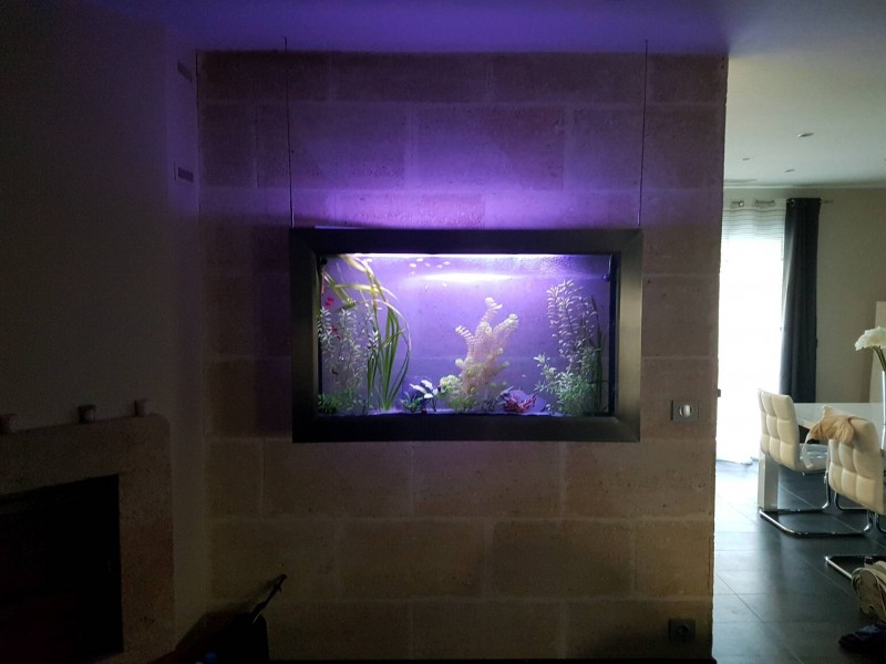 Refection total d'un aquarium d'eau douce rive droite de Bordeaux