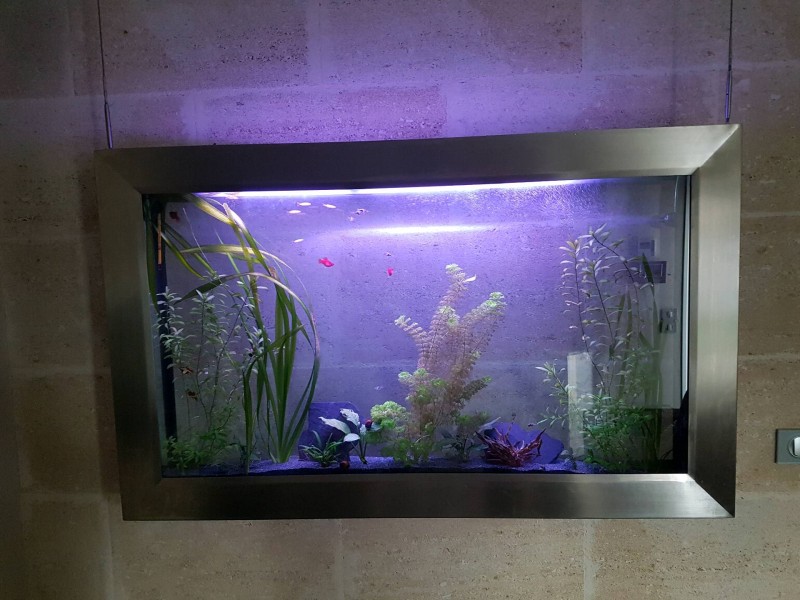 Aquarium d'eau douce suspendu près de Bordeaux