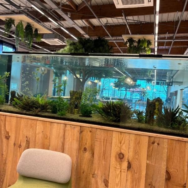 Entretien d’un aquarium à Décathlon Cestas près de Bordeaux