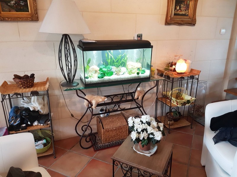 Entretien d'aquarium d'eau douce et d'eau de mer tout volume en Nouvelle Aquitaine