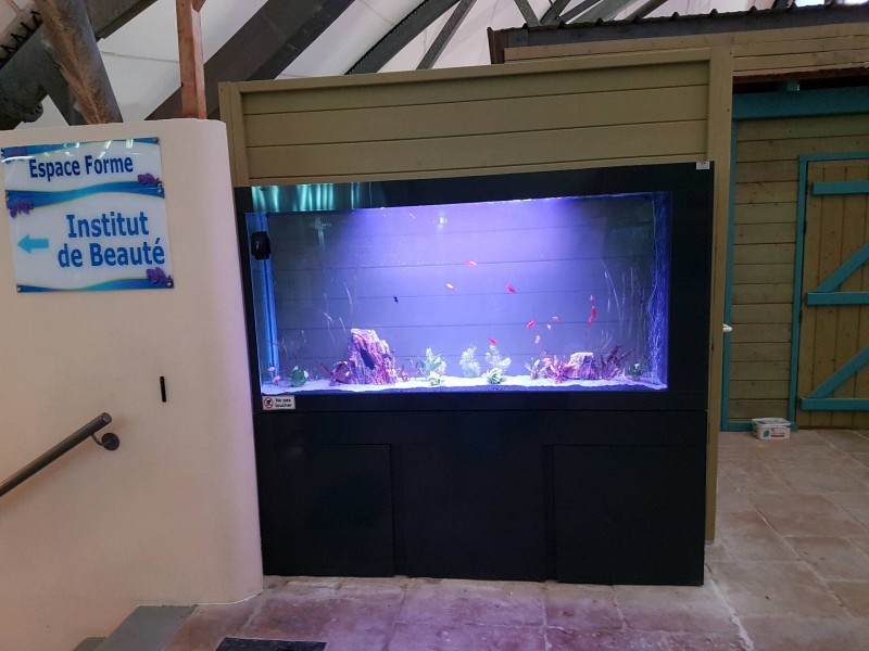 Aquarium après réparation en Charente