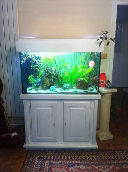 Aquarium sur mesure particulier Lormont près de Bordeaux