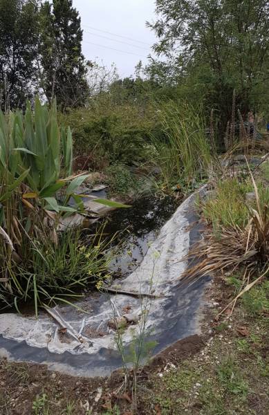 Devis pour transformer un bassin à poissons moche et sale par un petit plan d'eau décoratif à petit prix Gironde région Aquitaine