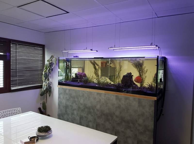 Réfection complète et déplacement d’un aquarium d’eau douce de 600L à Villenave d’Ornon