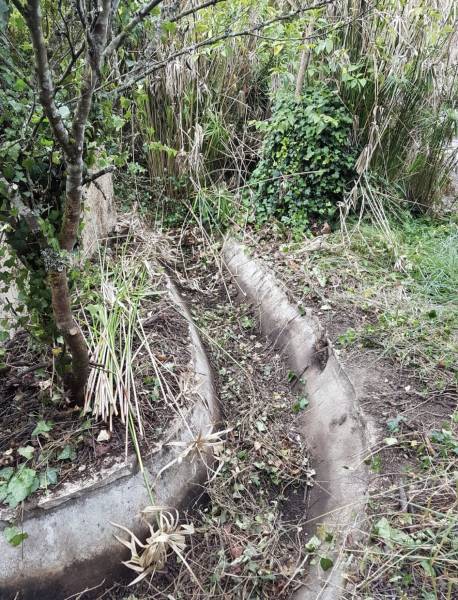 Création de bassin à Bordeaux