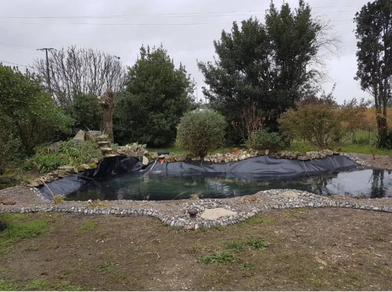 Devis pour faire rénover un bassin à poissons par un professionnel au meilleur tarif Médoc proche Bordeaux
