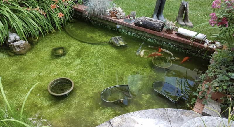Combien coûte la réparation d'un bassin à poissons en béton carrelé avec une résine époxy par un artisan ? Médoc en Gironde