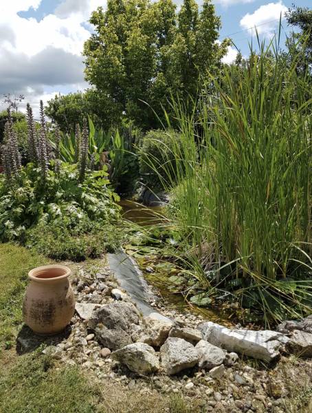 Tarif pour création d'un bassin extérieur à l'abandon avec une cascade chez un particulier Crèon en Gironde