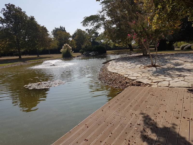 Quelle est la meilleure solution pour rendre l'eau d'un étang à poissons plus claire toute l'année ? Castelnau Médoc proche Listrac