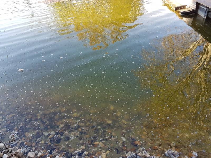 Trouver une entreprise spécialisée dans le traitement biologique des étangs envasés Taillan Médoc proche Sain Médard en Jalles