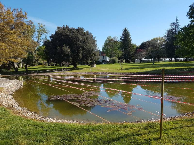 Devis pour le désenvasement complet d'un étang viticole par un professionnel Médoc en Gironde