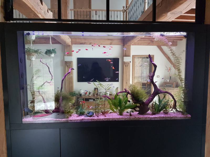 Création d'un aquarium sur mesure à Taller