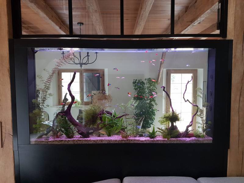 Création d'un aquarium sur mesure à Bordeaux