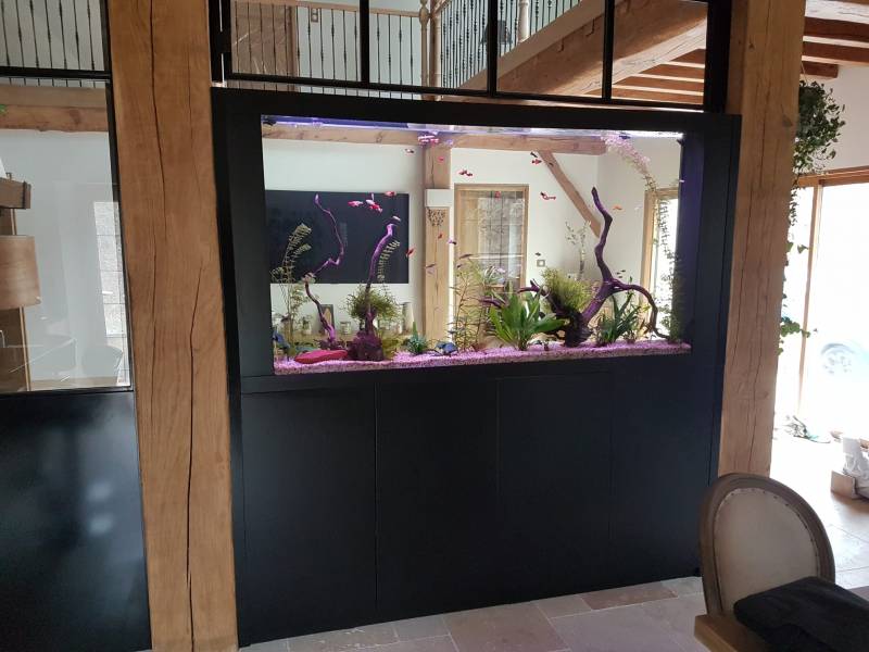 Aquarium encastré dans une verrière
