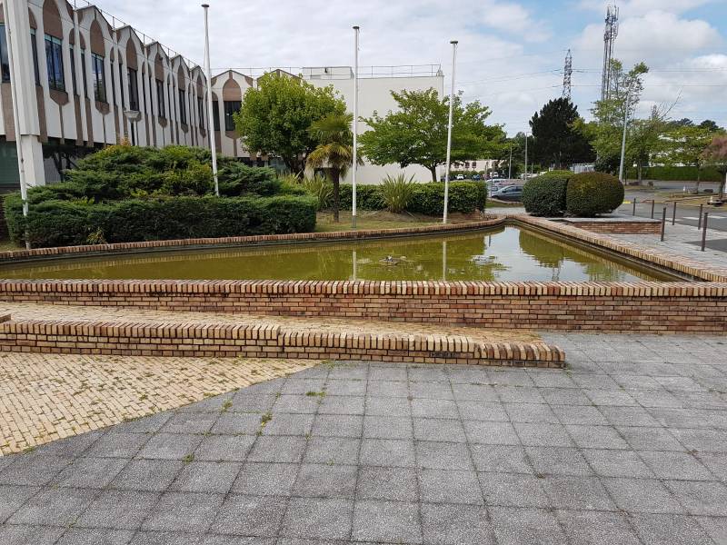 Bassin entièrement envasé et réfection par la société Greg Aqua Services à Cussac Fort médoc