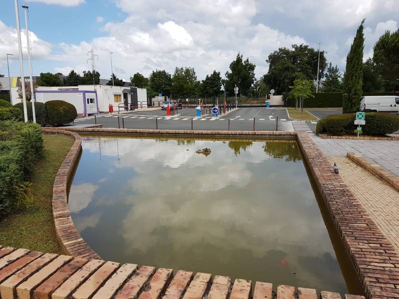 Mise en place de pompe flottante pour bassin à Bordeaux