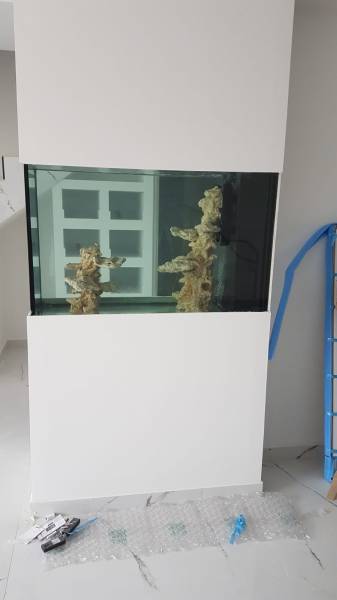 Création d'un aquarium d'eau de mer sur-mesure encastré à Lormont