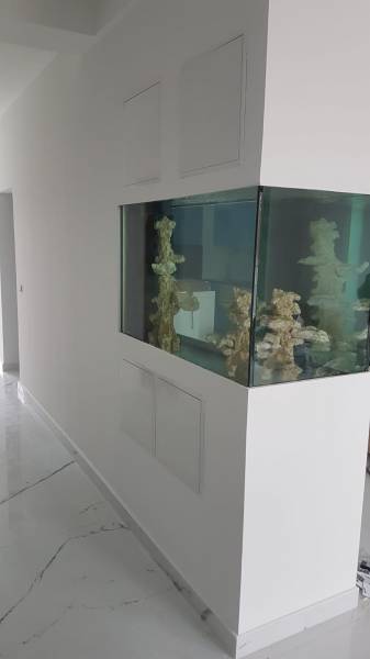 Création d'un aquarium d'eau de mer sur-mesure encastré à Lormont près du bassin d'arcachon