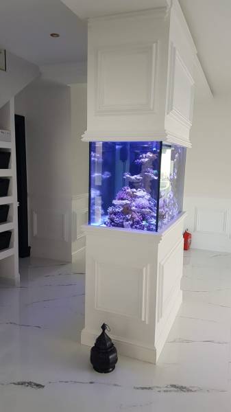 Création d'un aquarium sur mesure par la société Greg Aqua Services près de Bordeaux