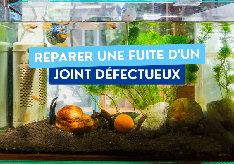 Reparer une fuite d'un joint d'aquarium défectueux à Bordeaux