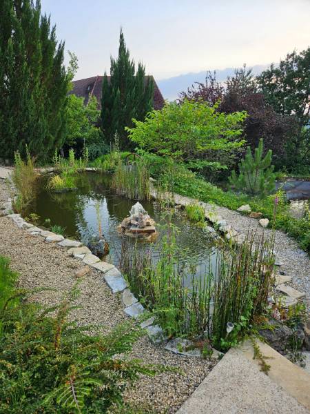 Réfection totale d'un bassin de 200m3 à Sarlat