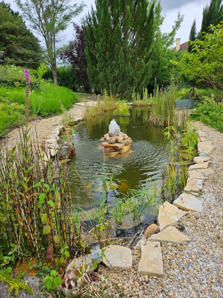 Réféction d'un bassin envasé à Sarlat