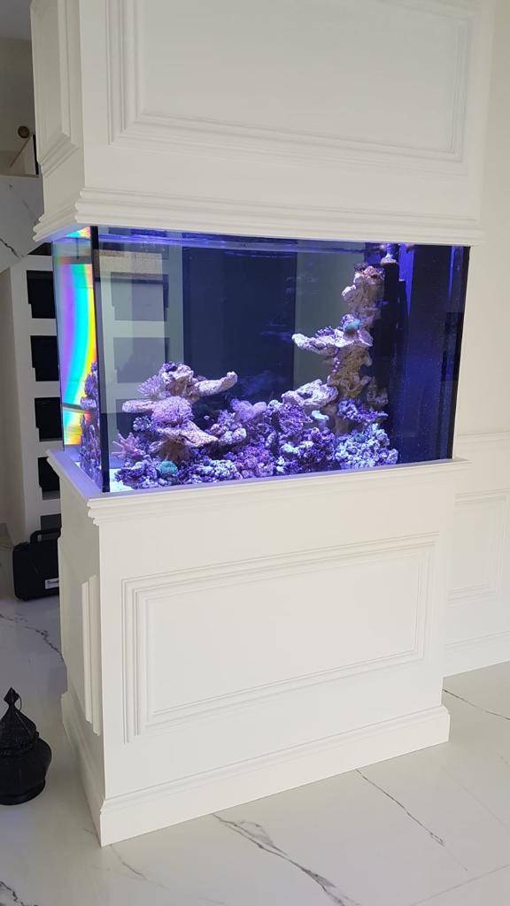 Aquarium sur mesure encastrée sur-mesure