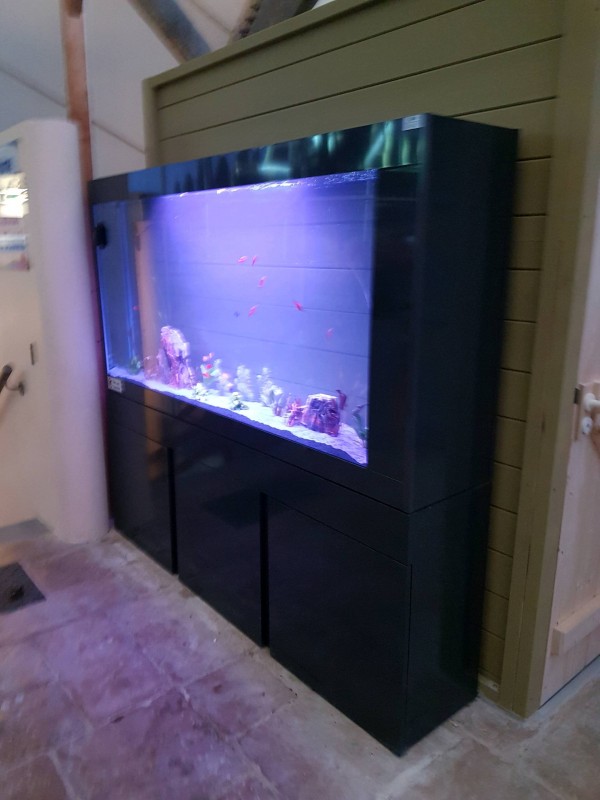 Aquarium d'eau douce slim en Charente après réparation
