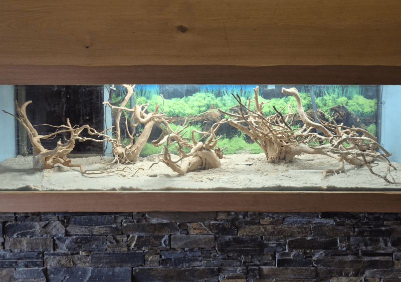 Réfection d’un aquarium de 1 200 litres dans un restaurant à Ségos