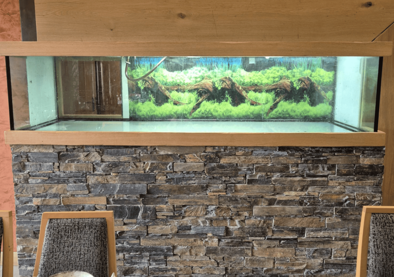 Réfection d’un aquarium de 1 200 litres dans un restaurant à Ségos