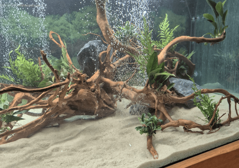 Réfection d’un aquarium de 1 200 litres dans un restaurant à Ségos