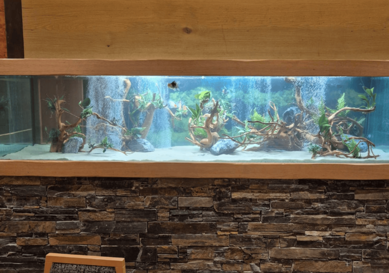 Réfection d’un aquarium de 1 200 litres dans un restaurant à Ségos