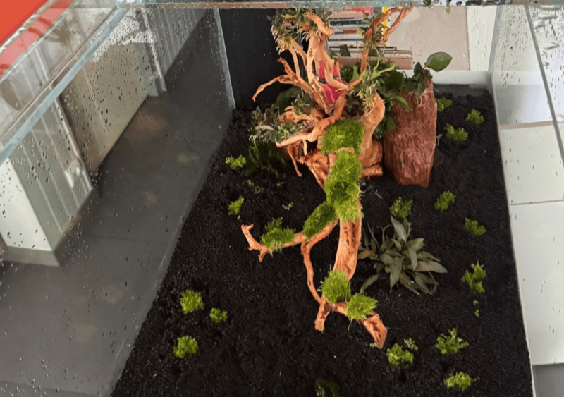 Installation d’un aquarium encastré sur mesure à Saint-Aubin-de-Médoc