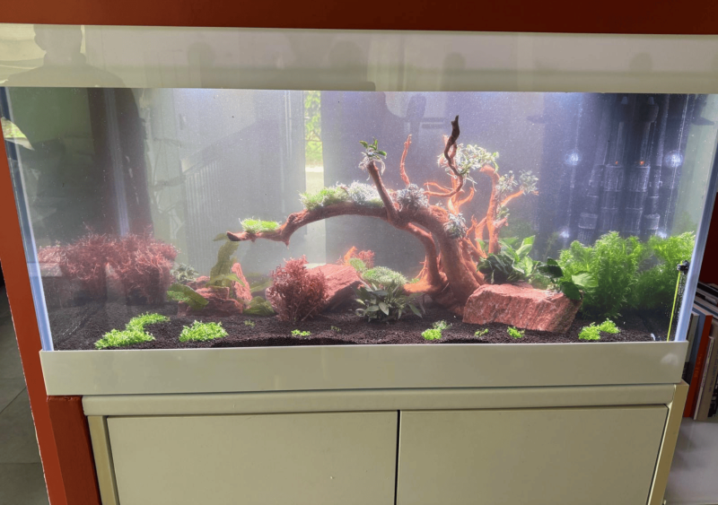 Installation d’un aquarium encastré sur mesure à Saint-Aubin-de-Médoc