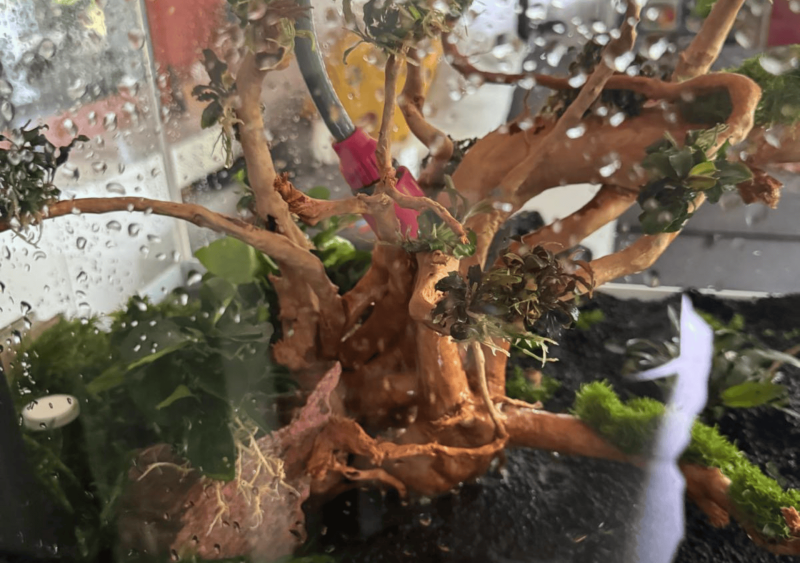 Installation d’un aquarium encastré sur mesure à Saint-Aubin-de-Médoc