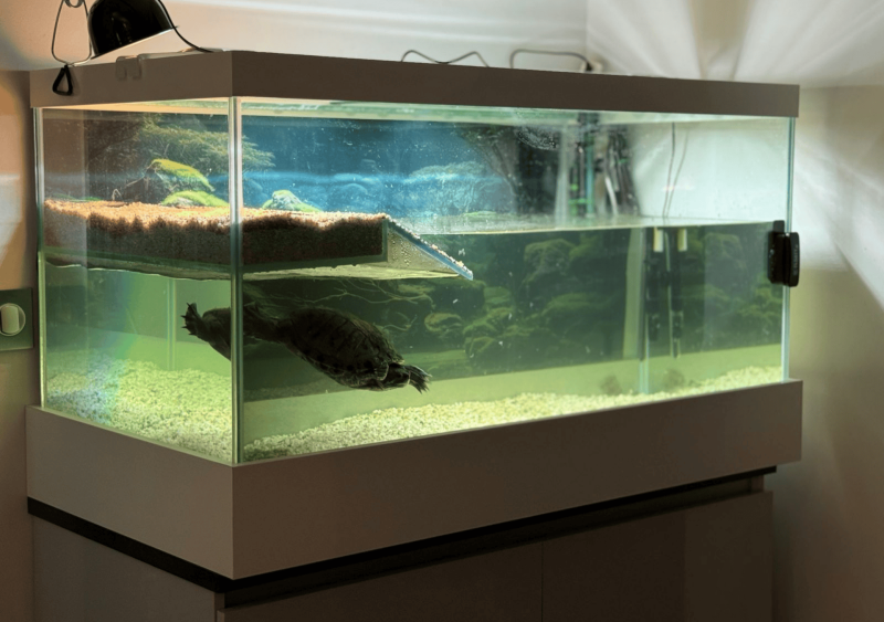 aquarium sur mesure à Bordeaux