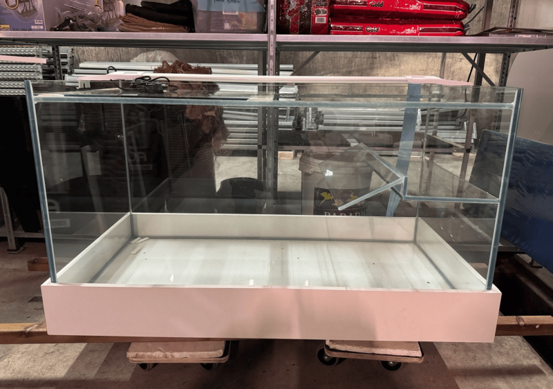 installation d'un aquarium à tortues sur mesure à bordeaux