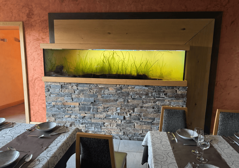 Réfection d’un aquarium de 1 200 litres dans un restaurant à Ségos
