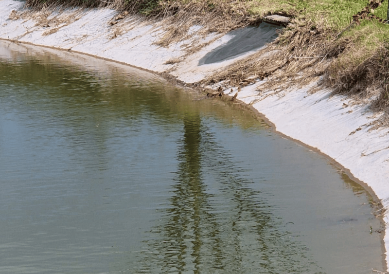 bassin aquatique exterieur