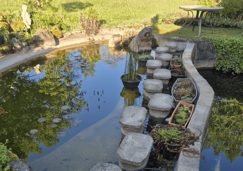 Réfection d’un bassin à carpe Koi de 30 m³ près de Bergerac