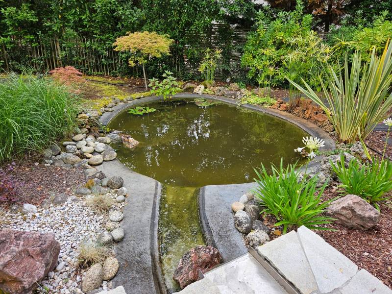 Nettoyage d’un bassin sur la commune du Pyla