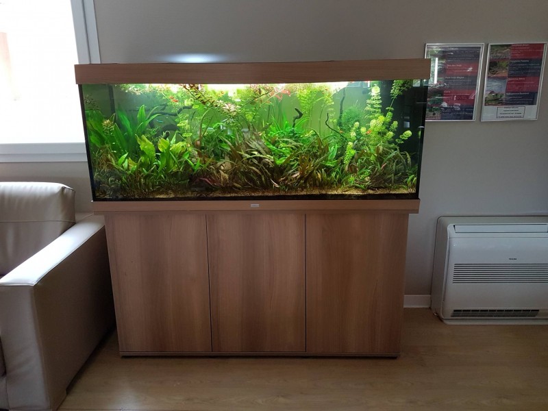 Entretien d'aquarium d'eau douce et d'eau de mer tout volume en Nouvelle Aquitaine