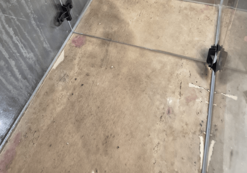 Remise en route d’un aquarium pour appâts de pêche en mer à Bidart