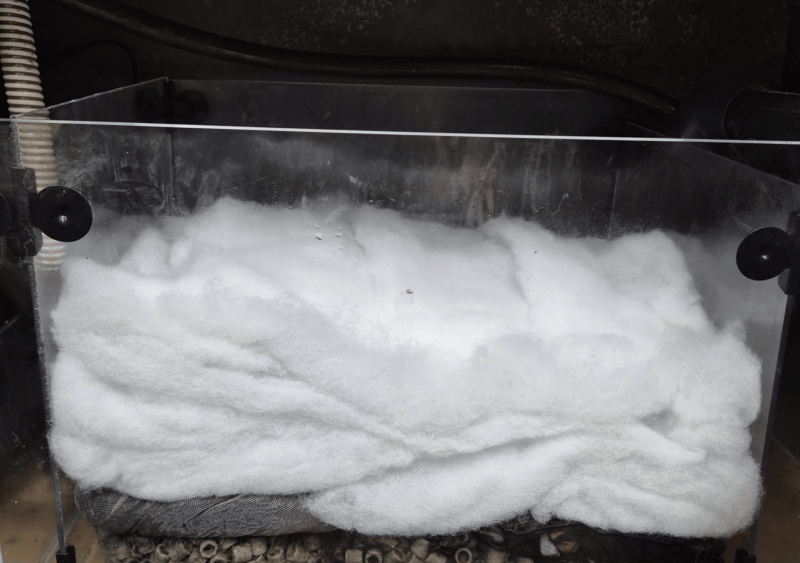 Remise en route d’un aquarium pour appâts de pêche en mer à Bidart