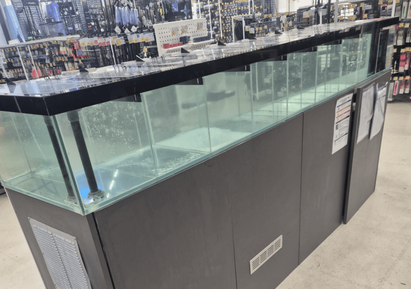 Remise en route d’un aquarium pour appâts de pêche en mer à Bidart