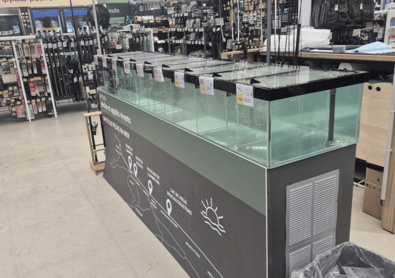 Remise en route d’un aquarium pour appâts de pêche en mer à Bidart