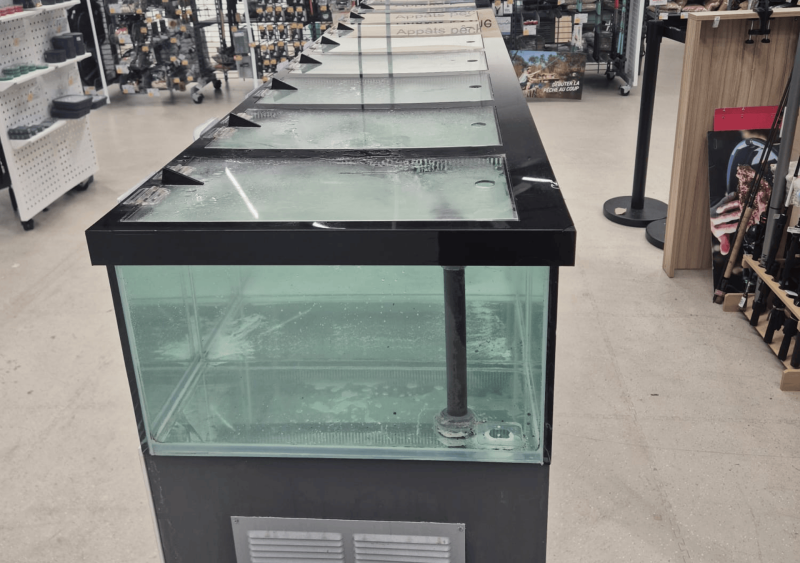 Remise en route d’un aquarium pour appâts de pêche en mer à Bidart