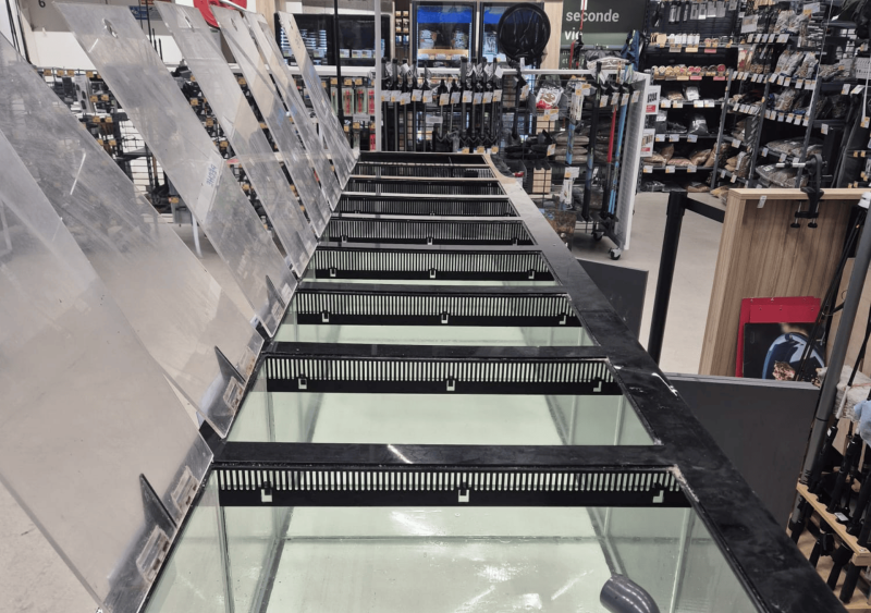 Remise en route d’un aquarium pour appâts de pêche en mer à Bidart