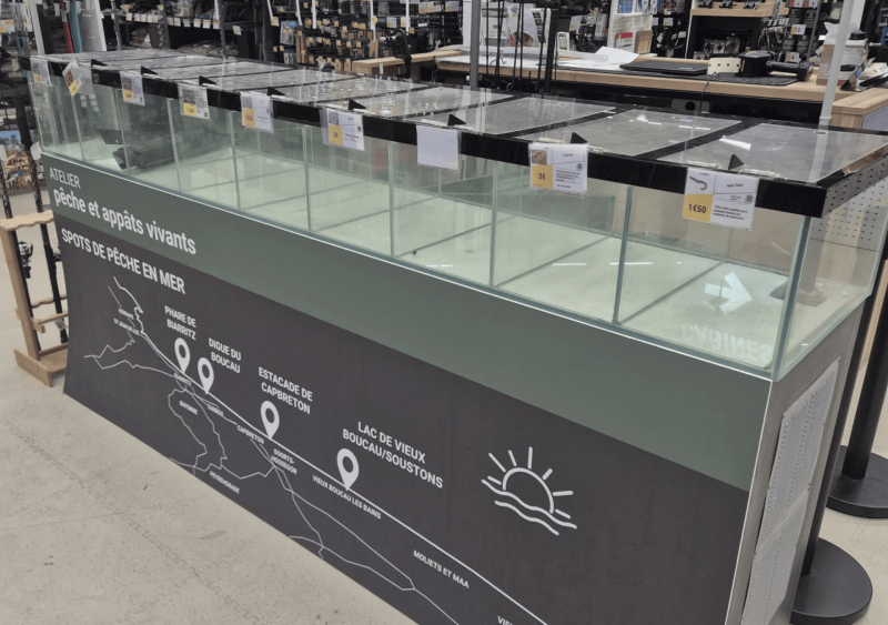 Remise en route d’un aquarium pour appâts de pêche en mer à Bidart