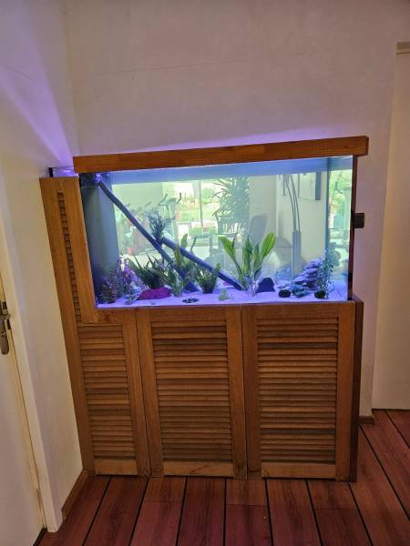 Rénovation d'un Aquarium à Saint Sulpice et Cameyrac par la société Greg Aqua services dans le Médoc